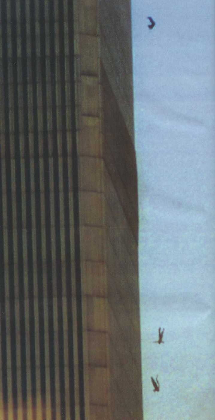 La_chute.jpg (49403 octets)